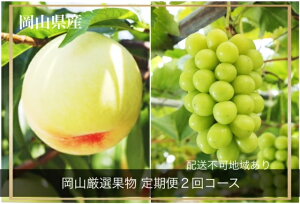 yӂ邳Ɣ[Łzyߘa8NEs\zRY ̍Rt[c782 ϔiR aC  VC}XJbgjGT-1@kCEꌧEւ̔z