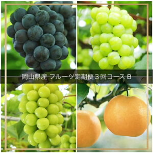 yӂ邳Ɣ[Łzyߘa8NEs\zt[c S3R[XBiR aC sI[l j[sI[l ˃WCAc VC}XJbg jvv-110@kCE