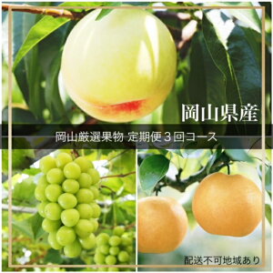 【ふるさと納税】【令和8年発送・先行予約】岡山県産 晴れの国岡山フルーツ7月9月11月定期便3回 化粧箱入り(岡山県 和気町 白桃 シャインマスカット あたご梨)GH-6 ※北海道・沖縄県・離