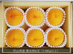 yӂ邳Ɣ[Łzyߘa8NEs\zRY  6ʁiv1.6kgȏjϔ Cz-11