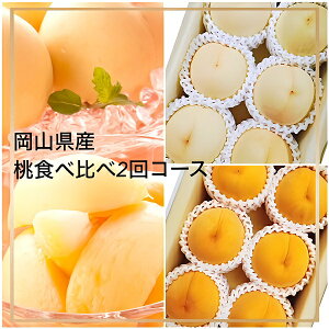 yӂ邳Ɣ[Łzyߘa8NEs\zRY HהבS2R[X Fg-8