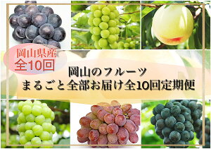 【ふるさと納税】【令和8年発送・先行予約】岡山のフルーツまるごと全部お届け全10回定期便 Bm-1