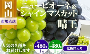 yӂ邳Ɣ[Łzyߘa7NEs\zRY@l/j[sI[l(480gȏj1[EVC}XJbg(480gȏ)1[@ϔ@Cz-7@kCEꌧEւ̔z͂ł
