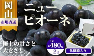 yӂ邳Ɣ[Łzyߘa7NEs\zRY@j[sI[li1[480gȏj2[i1kgj@ϔ@BS-18@kCEꌧEւ̔z͂ł܂B