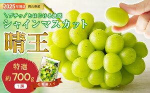yӂ邳Ɣ[ŁzVC}XJbg  I [ 700g 1[ ϔ RY Ԃǂ Mtg  v[g  j 䋟 ʕ  t[c@CS-11