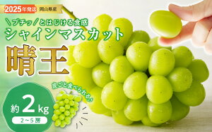 yӂ邳Ɣ[ŁzVC}XJbg  Gi [ 2kg 2-5[ RY Ԃǂ Mtg  v[g  j 䋟 ʕ  t[c@hh-106