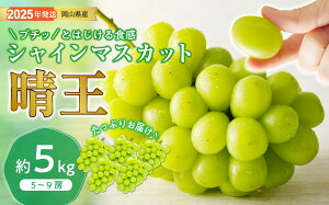 yӂ邳Ɣ[ŁzVC}XJbg  Gi [ 5kg 5-9[ RY RY Ԃǂ Mtg  v[g  j 䋟 ʕ  t[c@NN-37