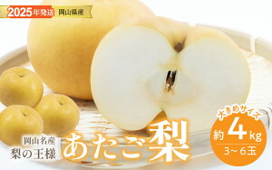 yӂ邳Ɣ[Łz  Gi 4kg RY {傫ȗ Ε Mtg  v[g  j 䋟 ʕ  t[c@gg-105