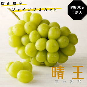 yӂ邳Ɣ[ŁzVC}XJbg  Gi 600g 1[ RY Ԃǂ䒆 Mtg  v[g  j 䋟 ʕ  t[c@yy-36