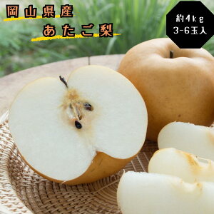 【ふるさと納税】梨 あたご梨 秀品 約4kg 岡山名産 日本一大きな梨 お歳暮 ギフト 御礼 プレゼント 御礼 御祝 御供 果物 くだもの フルーツ gg-105