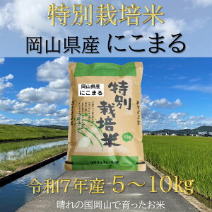 【ふるさと納税】【お米 特別栽培米】岡山県産「にこまる」5kg(令和7年産)UU-10
