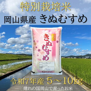 【ふるさと納税】【お米 特別栽培米 特Aランク】岡山県産「きぬむすめ」10kg(令和7年産)FF-47