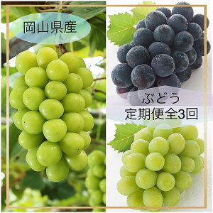 yӂ邳Ɣ[Łzyߘa8NEs\zԂǂ֑̒S3@Ga-1