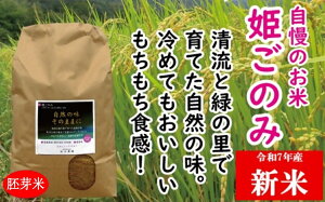 yӂ邳Ɣ[ŁzZZ-24@ā@ā@P̂݁iāj10kg