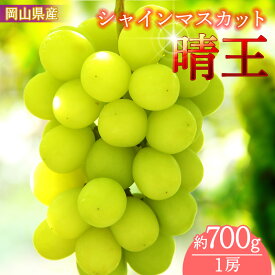 【ふるさと納税】岡山県産　シャインマスカット「晴王」（1房700g以上）1房入り（ハックルベリーフィン）