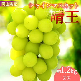 【ふるさと納税】岡山県産 シャインマスカット「晴王」2房入り 約1200g以上　(1房600g以上）（ハックルベリーフィン）