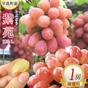 yӂ邳Ɣ[Łz ΕMtgp ~Ԃǂi1[jiщʎj`֘AL[[hFԂǂ VC}XJbg R  ͔| ̍R N N 햳 ^lȂ 