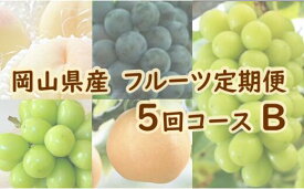 【ふるさと納税】岡山県産 フルーツ定期便 5回コースB（山博）