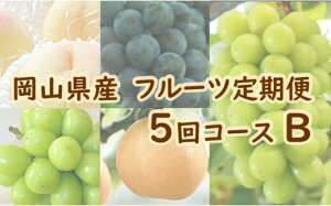 yӂ邳Ɣ[ŁzRY t[c 5R[XBiRj