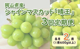 【ふるさと納税】岡山県産　シャインマスカット『晴王』3回定期便 各月2房（1房600g以上）（山博）