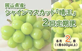 【ふるさと納税】岡山県産　シャインマスカット『晴王』2回定期便 各月2房（1房600g以上）（山博）