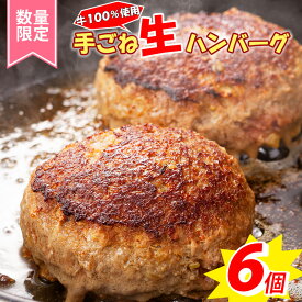 【ふるさと納税】父の日 牛100％ 150g×6個 肉汁溢れる 手ごね生ハンバーグ 父の日 夏ギフト箱 / ミンチ2度挽きやわらか ハンバーグステーキ 牛肉100％ 豪州産 国産牛 黒毛和牛入り 湯煎 冷凍 本格レストランのスパイス配合 / 【楽天限定】