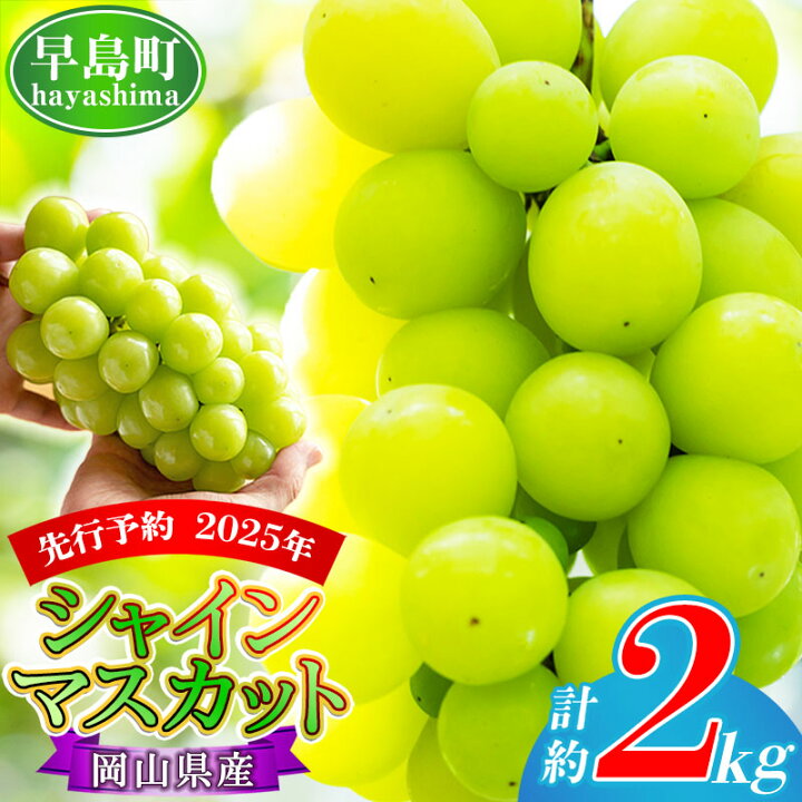 ふるさと納税 津山市 【発送月固定定期便】岡山県産 シャインマスカット『晴王』定期便全3回 ふるさと納税 津山市 【発送月固定定期便】岡山県産 シャインマスカット『晴王』定期便全3回 ふるさと納税】岡山県産 シャインマスカット『晴王』3回定期便  各月2房（1房600g以上）（山博） 発送月固定定期便】岡山県産 シャインマスカット『晴王 』定期便全2回 | 岡山県 ...