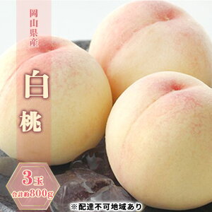yӂ邳Ɣ[Łz 2026N s\  3 v800g   RY Y t[c ʕ Mtg@͂F2026N7{`2026N7{