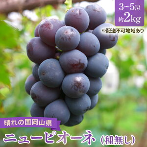 yӂ邳Ɣ[Łzy2026Ns\z Ԃǂ RY j[sI[l i 햳 j2kgi3`5[j s2026N8{-9{oׁt  uhE t[c ʕ XC[c ʌ Ԍ 
