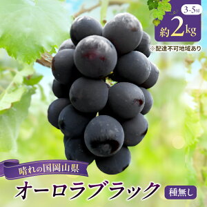 yӂ邳Ɣ[Łzy2026Ns\z Ԃǂ RY I[ubN i 햳 j2kgi3`5[j s2026N9{-{oׁt  uhE t[c ʕ XC[c ʌ Ԍ 