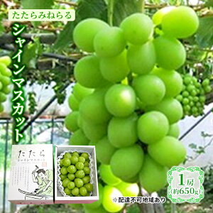 yӂ邳Ɣ[Łzy2025Ns\z Ԃǂ RY ݂˂ VC}XJbg 1[(650g) s2025N8{-10{oׁt  uhE t[c ʕ XC[c ʌ Ԍ