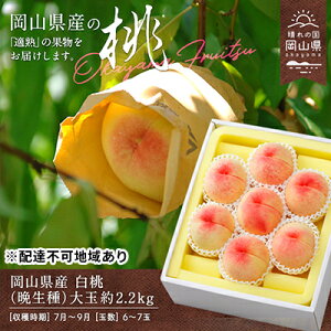 yӂ邳Ɣ[Łz 2025N s\  Ӑ  2.2kg 6`7 R t[c    s[` lC VN t[c  fU[g t[c    Mtg    