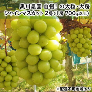 yӂ邳Ɣ[ŁzԂǂ 2025N s\ _  !  嗱 [ VC }XJbg 2[ i1[ 700gȏj uhE  RY Y t[c ʕ Mtg ʕ VC}XJbg 
