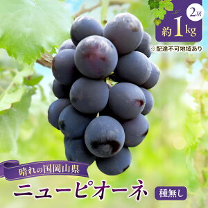 【ふるさと納税】【2026年先行予約】 ぶどう 岡山県産 ニューピオーネ ( 種無し )約1kg(2房) 《2026年8月下旬-9月中旬頃出荷》 葡萄 ブドウ フルーツ 果物 スイーツ 数量限定 期間限定 岡山