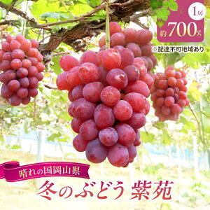 �y�ӂ邳�Ɣ[�Łz�y2026�N��s�\��z �Ԃǂ� ���R���Y �~�̂Ԃǂ� ���� �i �햳�� �j1�[�i��700g�j �s2026�N10�����{-11����{���o�ׁt ���� �u�h�E �t���[�c �ʕ� ���ʌ��� ���Ԍ��� ���R ������