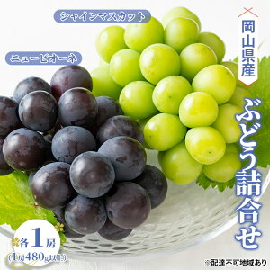 �y�ӂ邳�Ɣ[�Łz�Ԃǂ� 2026�N ��s�\�� �l���� �j���[ �s�I�[�l 1�[�i1�[480g�ȏ�j �V���C�� �}�X�J�b�g 1�[�i1�[480g�ȏ�j �u�h�E ���� ���R���Y ���Y �t���[�c �ʕ� �M�t�g �j���[�s�I�[�l 