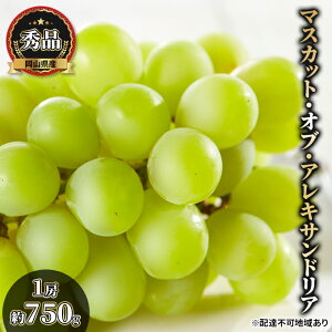 �y�ӂ邳�Ɣ[�Łz�Ԃǂ� 2026�N ��s�\�� �}�X�J�b�g�E�I�u�E�A���L�T���h���A �G�i 1�[��750g ���ϔ����� �u�h�E ���� ���R���Y ���Y �t���[�c �ʕ� �M�t�g �ʕ��� �@���͂��F2026�N7����{�`20