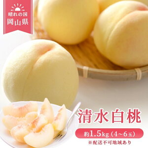 yӂ邳Ɣ[Łz y 2026N s\z  RY   1.5kg(4`6) s2026N7{-8{oׁt  R ͂Ƃ XC[c t[c ʕ s\ ʌ Ԍ R 