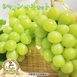 yӂ邳Ɣ[Łzy2026Ns\z Ԃǂ RY VC}XJbg 1.2kgȏ(2[)s2026N9{-{oׁt  uhE RY t[c ʕ ʌ Ԍ R  u