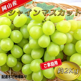 【ふるさと納税】ぶどう 2026年 先行予約 ご家庭用 シャイン マスカット 約2kg 糖度抜群！ 【8月中旬～順次発送分】 ブドウ 葡萄 岡山県産 国産 フルーツ 果物 果物類 　お届け：2026年9月上旬～2026年10月上旬