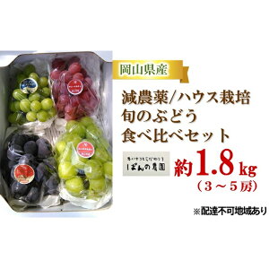 yӂ邳Ɣ[ŁzԂǂ 2025N s\ {̂Ԃǂ Hה׃Zbg 1.8kg 3`5[ _^nEX͔| uhE  RY Y t[c ʕ Mtg ΂̔_ ʕ }XJbg Ԃ