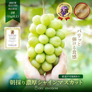 yӂ邳Ɣ[ŁzԂǂ 2026N s\ mƒpn VC }XJbg 2[iv1kgȏj uhE  RY Y t[c ʕ OEC KINGDOM Ԃǂ ʕ @͂F2026N8{`