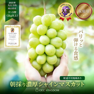 yӂ邳Ɣ[ŁzԂǂ 2025N s\ mƒpn VC }XJbg3`5[iv2kgȏj uhE  RY Y t[c ʕ OEC KINGDOM Ԃǂ ʕ @͂F2025N8{
