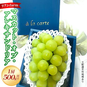 yӂ邳Ɣ[Łzy 2026N s\z Ԃǂ RY }XJbgEIuEALThA 1[i500gȏj s2026N7{-{oׁt  uhE t[c ʕ XC[c ʌ 
