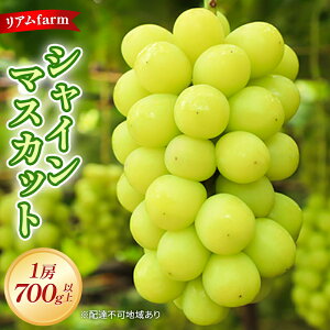 【ふるさと納税】【2026年先行予約】 ぶどう 岡山県産 シャインマスカット 1房(700g以上) 《2026年7月下旬-8月下旬頃出荷》 葡萄 ブドウ フルーツ 果物 スイーツ 数量限定 期間限定 里庄町 リ
