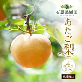【ふるさと納税】梨 2026年 先行予約 あたご梨 3～9玉 合計約4kg 化粧箱【11月下旬～12月中旬頃発送】 ナシ なし 岡山県産 国産 フルーツ 果物 ギフト 石原果樹園 　お届け：2026年11月15日～2026年12月20日