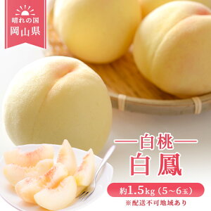 yӂ邳Ɣ[Łzy 2026N s\z  RY P i  j1.5kg(5`6) s2026N7{-{oׁt  R ͂Ƃ XC[c t[c ʕ s\ ʌ Ԍ R 