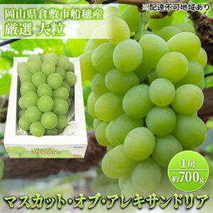 yӂ邳Ɣ[Łzy2026Ns\z Ԃǂ RY }XJbg EIuE ALThA I 1[ 700g [ R q~s DY s2026N7{-{oׁt  uhE t[c 