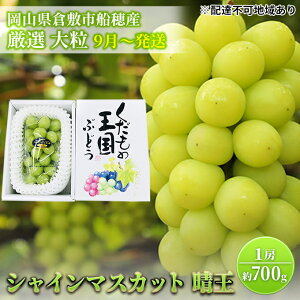 yӂ邳Ɣ[Łzy2026Ns\z Ԃǂ RY VC}XJbg  I 1[ 700g [ R q~s DY s2026N9{-10{oׁt  uhE t[c ʕ ʌ