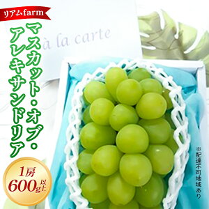 yӂ邳Ɣ[Łzy 2026N s\z Ԃǂ RY }XJbgEIuEALThA 1[i600gȏj s2026N7{-{oׁt  uhE t[c ʕ XC[c ʌ 